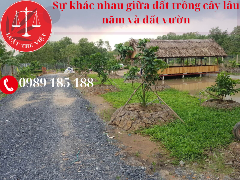 2025-hop-dong-mua-ban-nha-vo-hieu-51