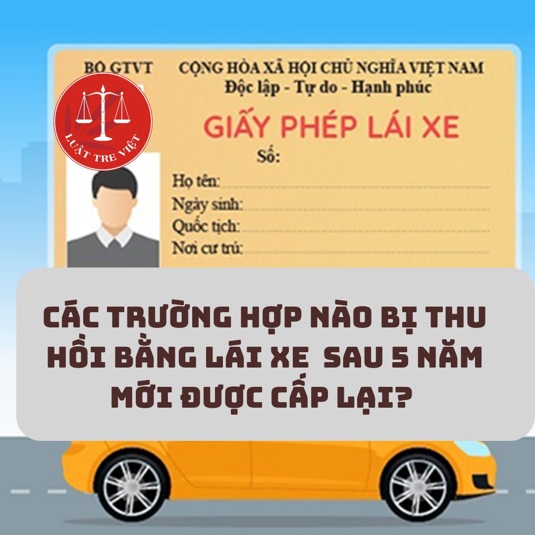 Các trường hợp nào bị thu hồi bằng lái xe phải chờ 05 năm sau mới được cấp lại?