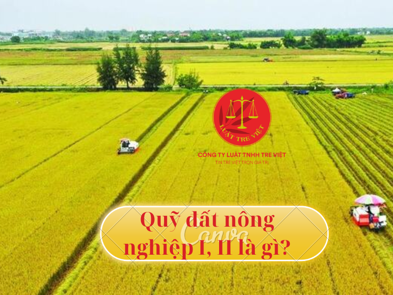 Đất nông nghiệp quỹ I, quỹ II là gì? Quản lý đất nông nghiệp quỹ I, quỹ II thế nào?
