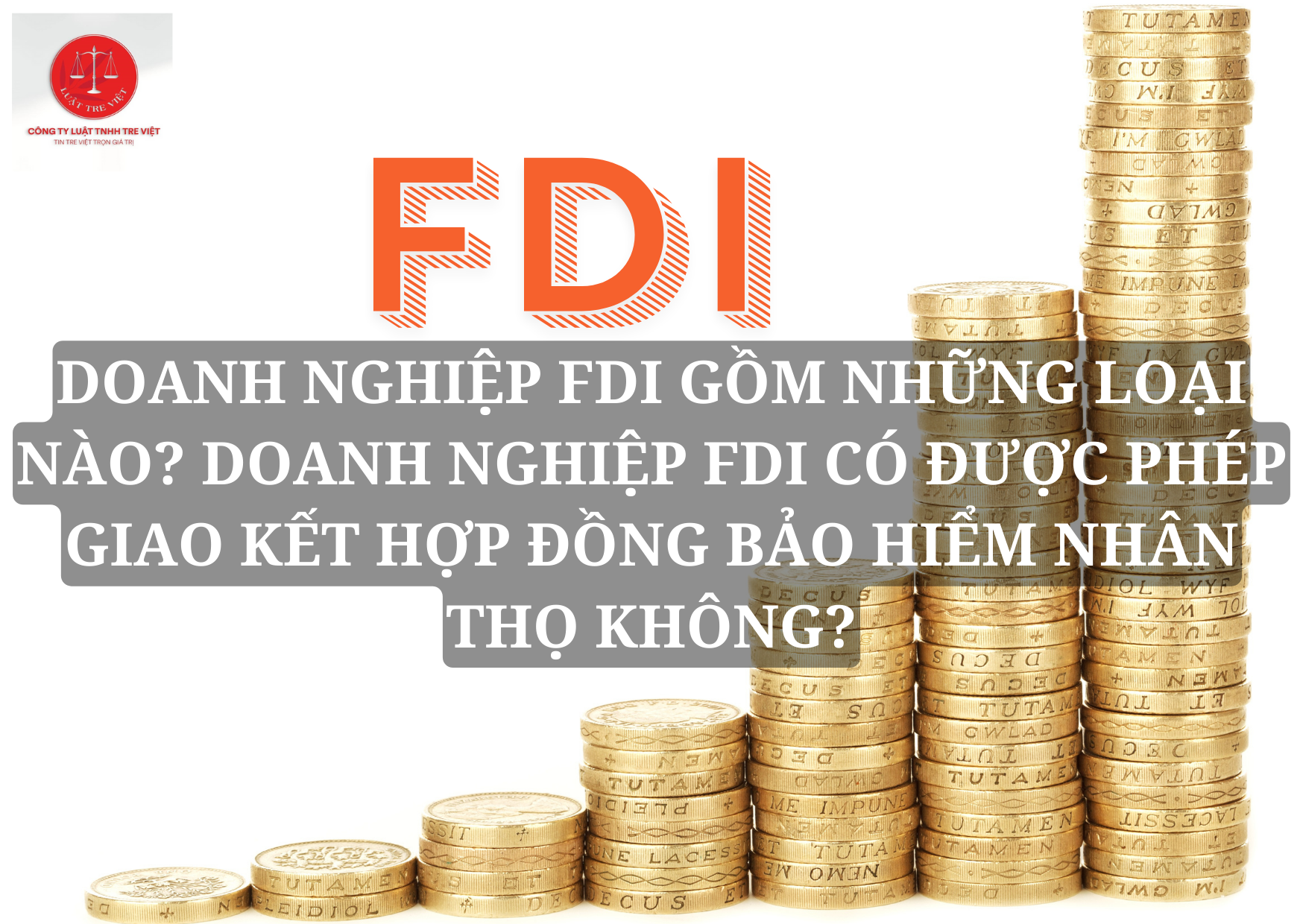 DOANH NGHIỆP FDI GỒM NHỮNG LOẠI NÀO? DOANH NGHIỆP FDI CÓ ĐƯỢC PHÉP GIAO KẾT HỢP ĐỒNG BẢO HIỂM NHÂN THỌ KHÔNG?