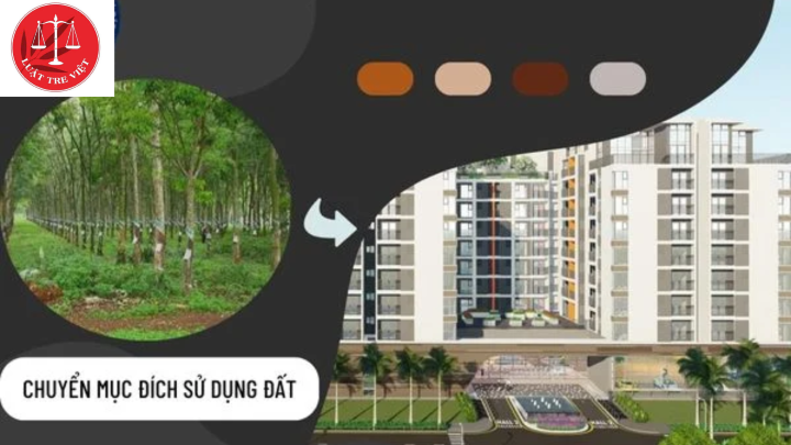 hotline-0989-185-188-luat-tre-viet-tin-tre-viet-tron-gia-tri-1