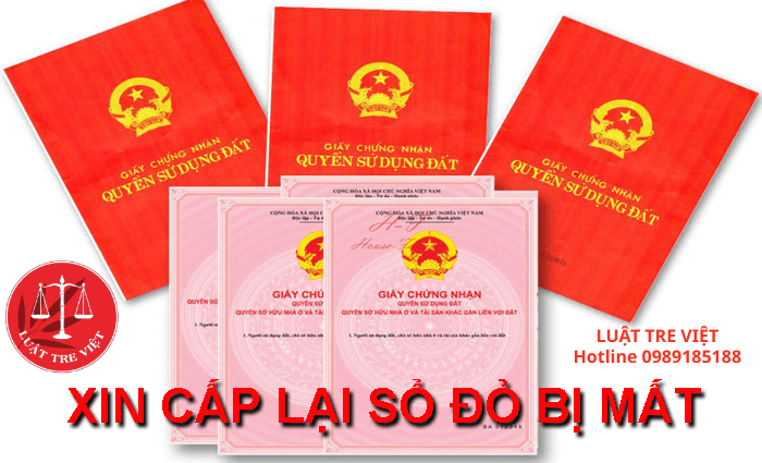 Năm 2026 hồ sơ, thủ tục cấp lại sổ đỏ bị mất