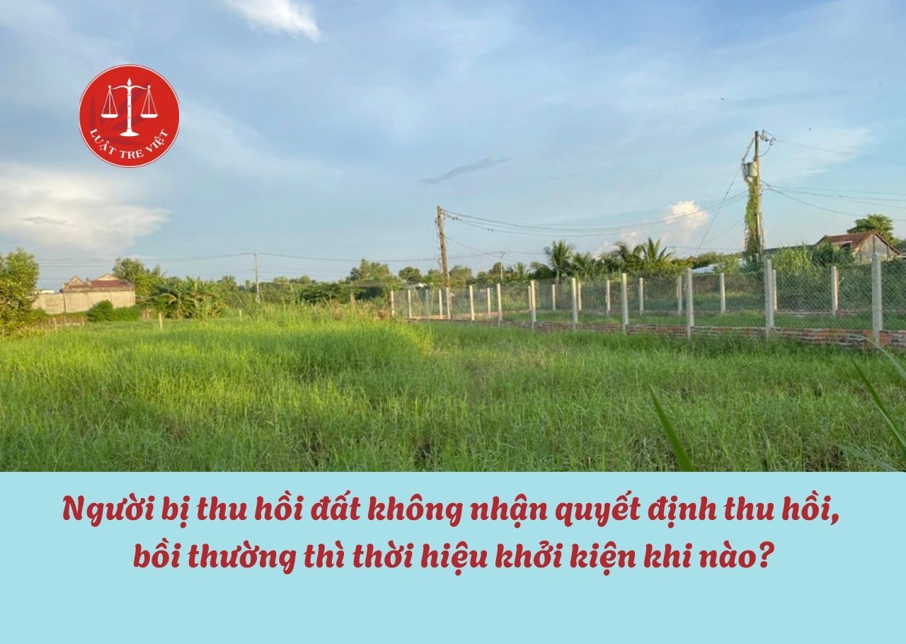 cong-ty-luat-tnhh-tre-viet-tin-tre-viet-chon-gia-tri1