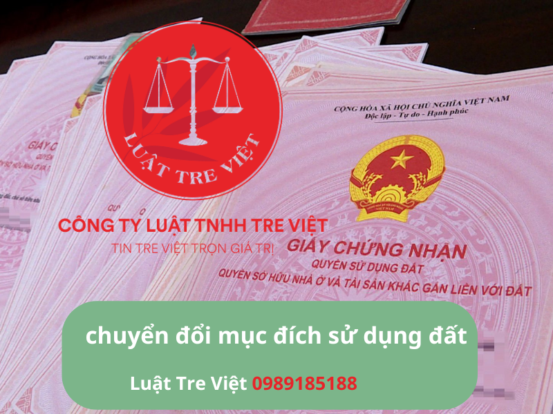 noi-dung-doan-van-ban-cua-ban-6