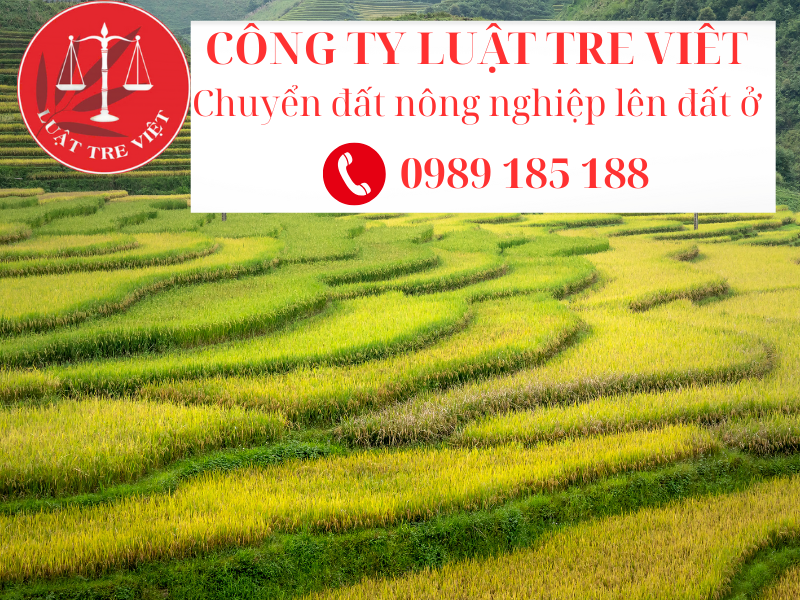 Quy định làm sổ đỏ đất ở từ đất nông nghiệp 2025, Bộ Nông nghiệp và Môi trường thông tin cụ thể
