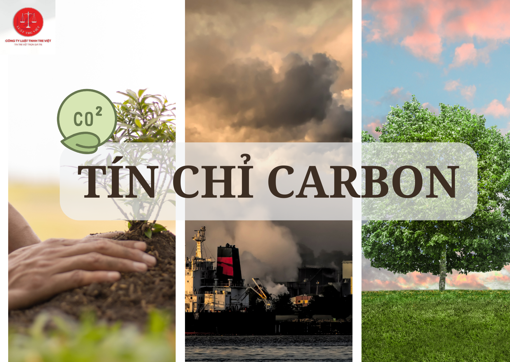 THỊ TRƯỜNG TÍN CHỈ CARBON - NHỮNG ĐIỀU BẠN CẦN BIẾT