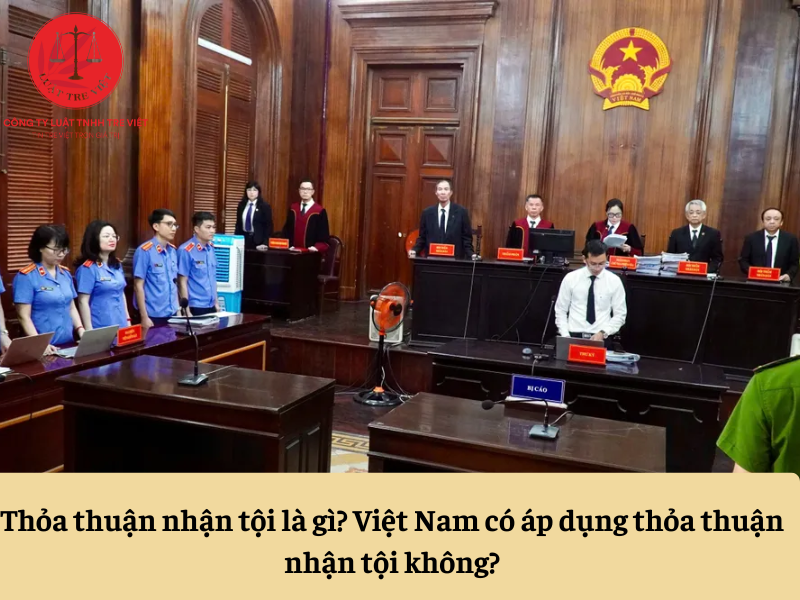 Thỏa thuận nhận tội là gì? Việt Nam có thỏa thuận nhận tội không?