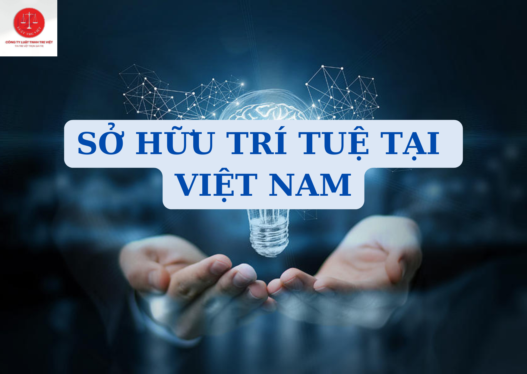 THỰC TRẠNG SỞ HỮU TRÍ TUỆ TẠI VIỆT NAM: NGUYÊN NHÂN VÀ GIẢI PHÁP