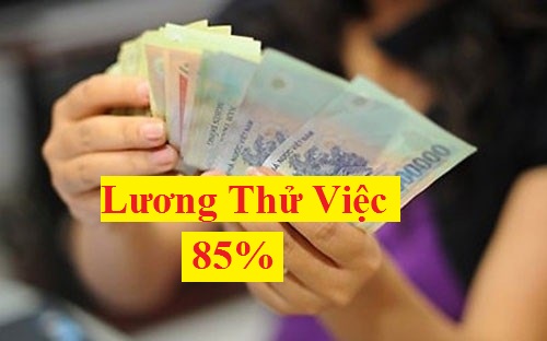 Tư vấn thời gian thử việc và lương trong thời gian thử việc